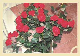 «Миллион алых роз» от «Авторадио»